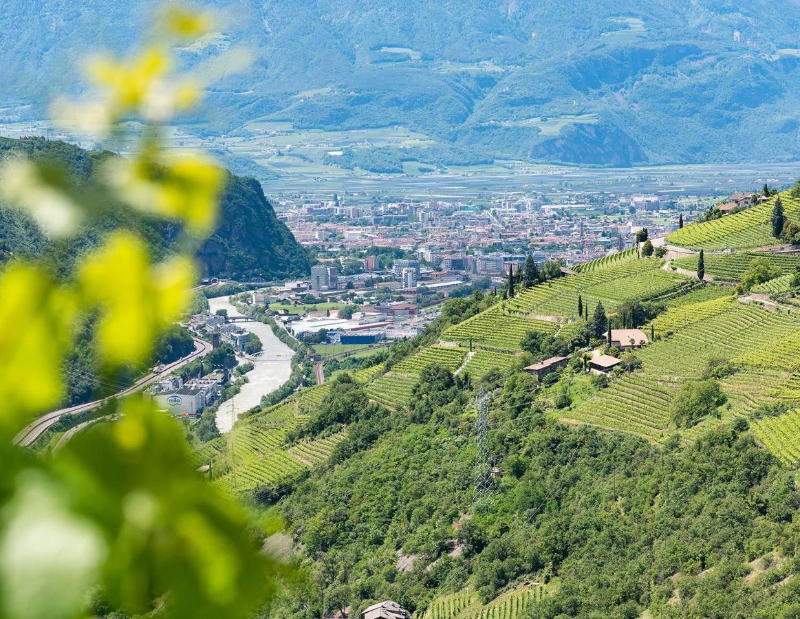 Weingut Schmid Oberrautner Apartment Suites Bolzano Bagian luar foto